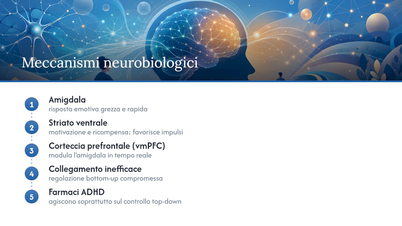I sistemi cerebrali coinvolti nella regolazione delle emozioni