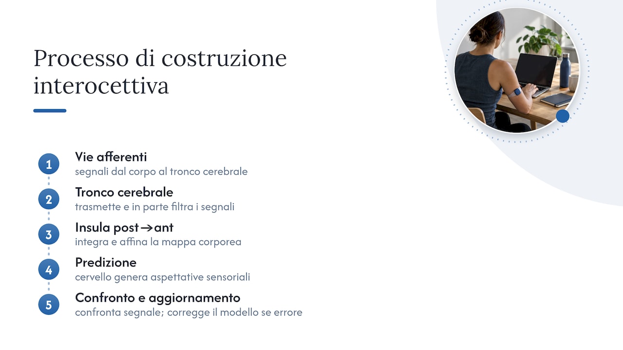 Come il cervello costruisce l'esperienza interocettiva — overview diagram