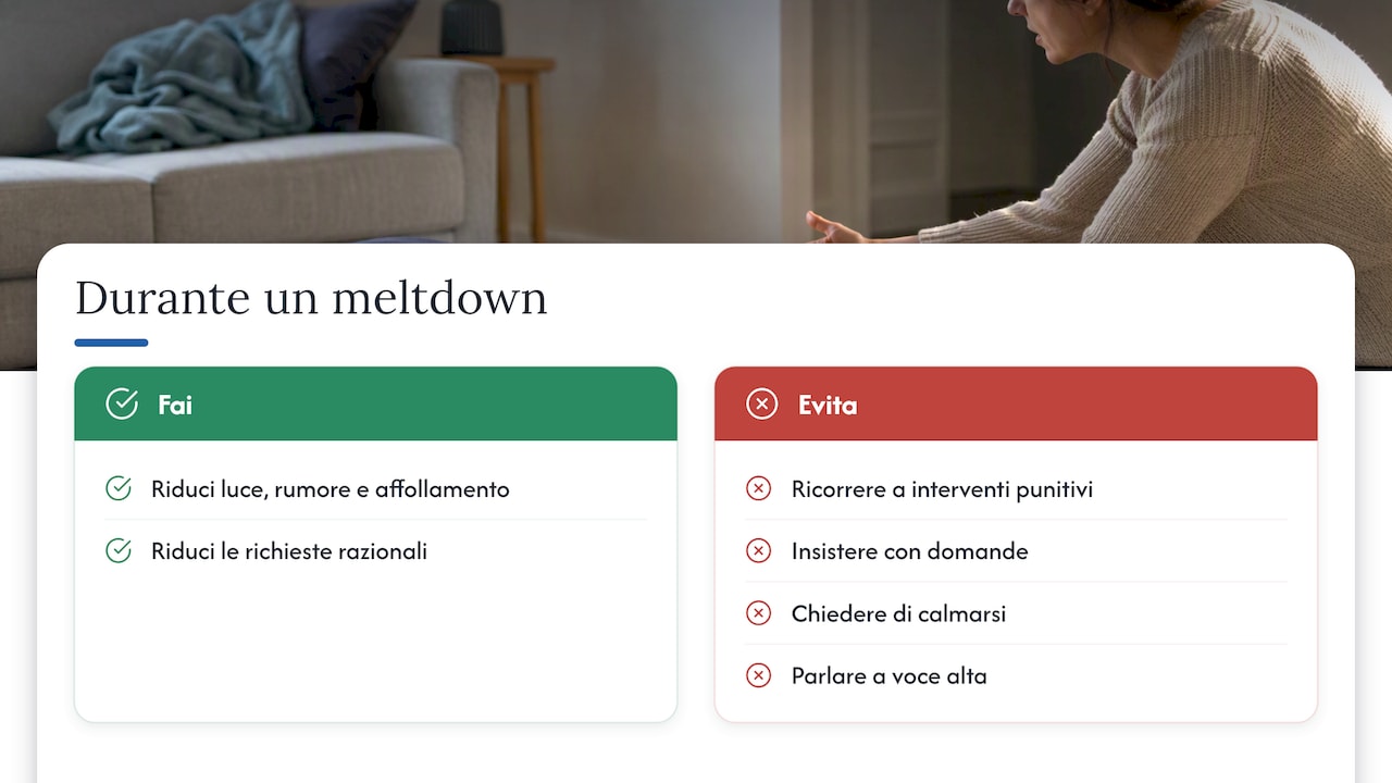 Cause e basi neurobiologiche del meltdown: cosa dicono gli studi — overview diagram