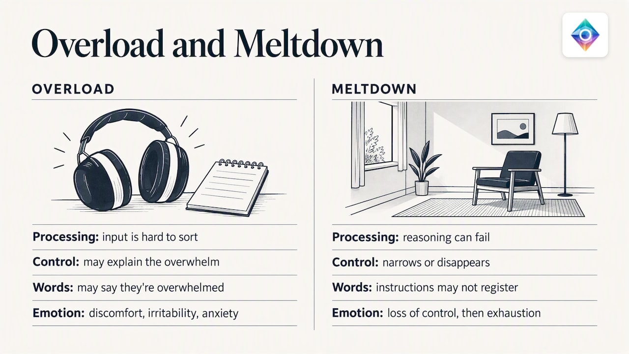 Comparison of overload and meltdown experiences