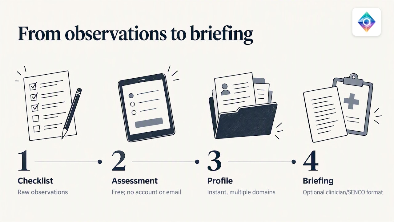 Using a guided self-assessment to prepare for professionals — overview diagram