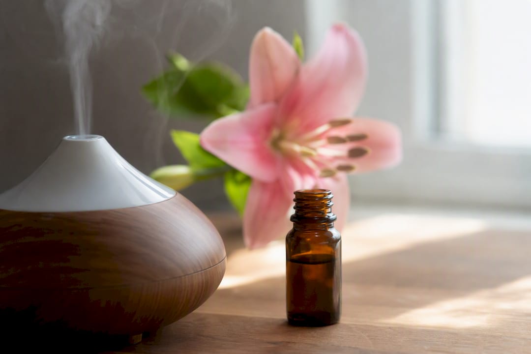 Primer plano de objetos aromáticos que activan la sensibilidad olfativa