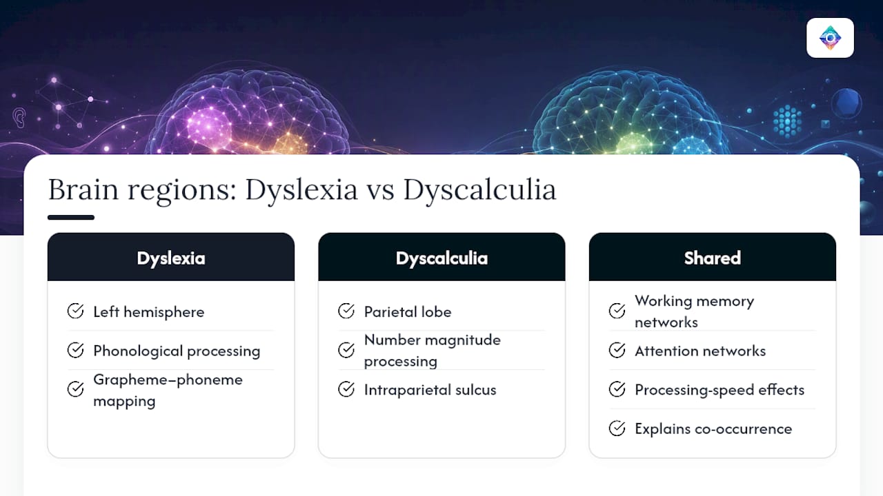 Brain networks associated with dyslexia and dyscalculia