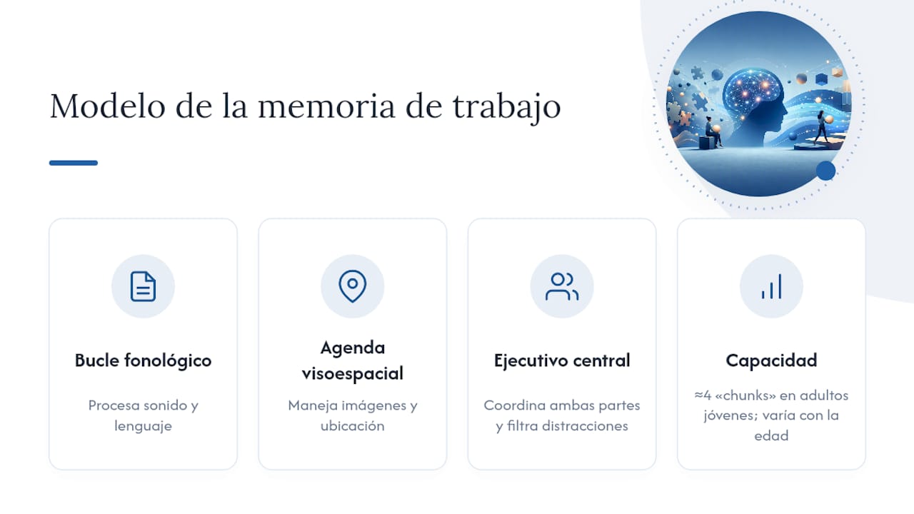 Elementos y capacidad de la memoria de trabajo