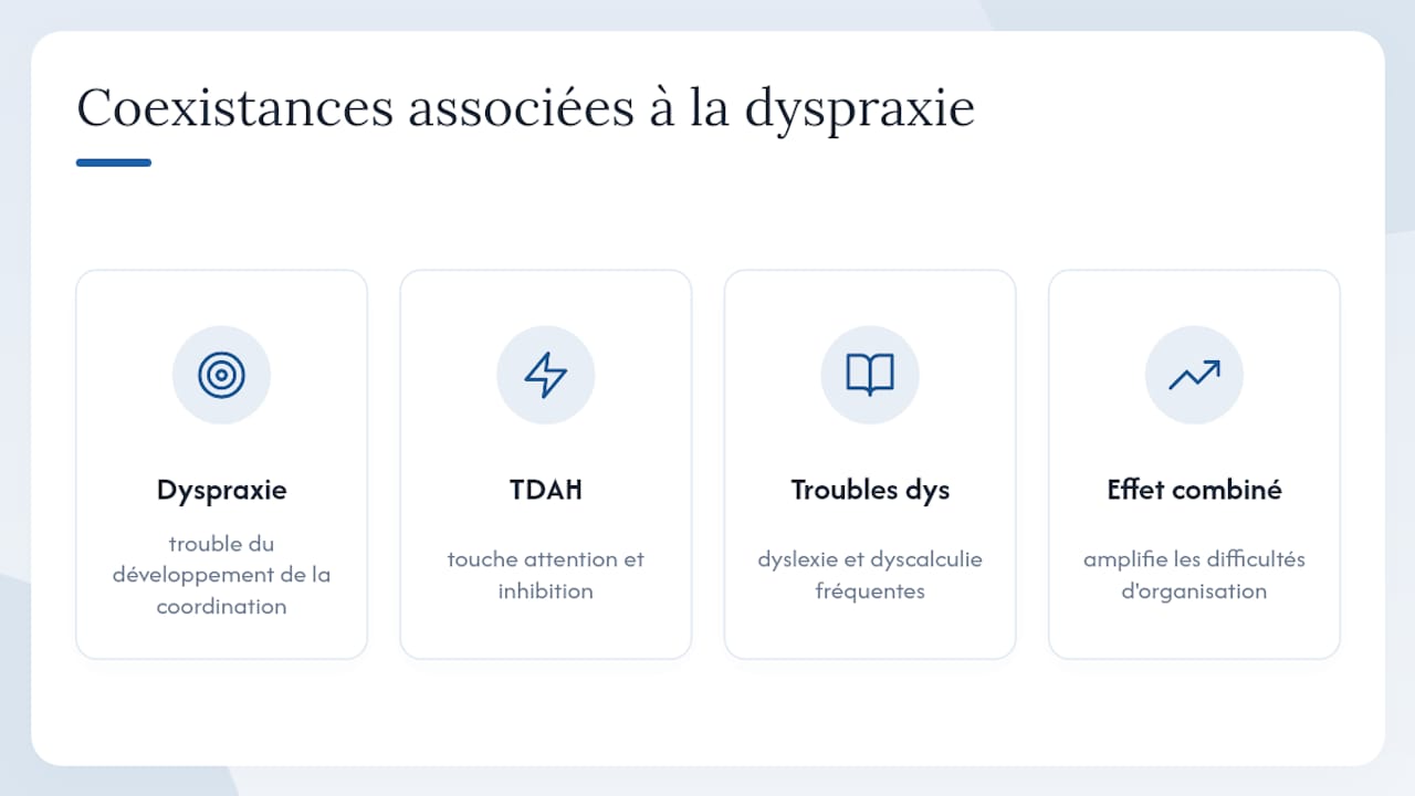 Relations entre dyspraxie et troubles associés