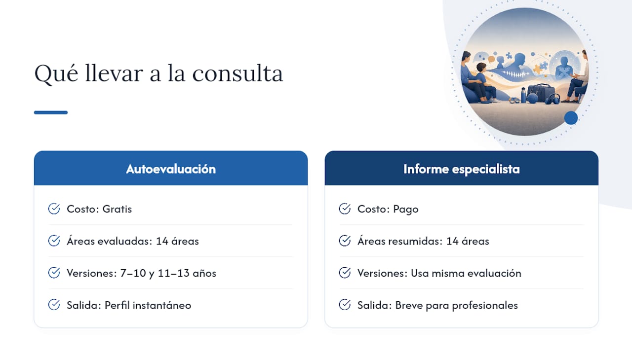 Una forma de ordenar lo que observas antes de la consulta — overview diagram